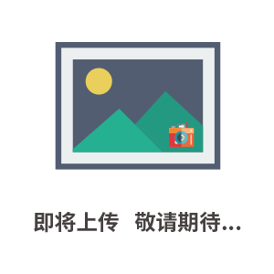 高精度计重秤